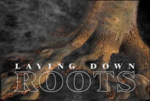 Laying Down Roots - Cover